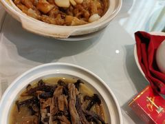 -上海圣淘沙万怡酒店