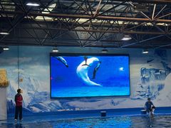 -石林冰雪海洋世界