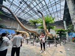 -国家自然博物馆