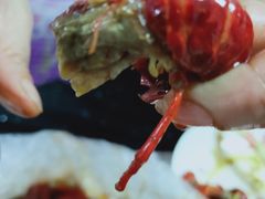 小龙虾-丁丁龙虾(总店)