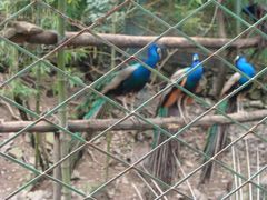 -藏龙百瀑风景区