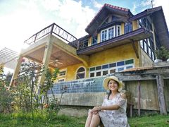 -黄色小屋