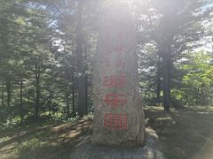 -黄椅山火山森林公园