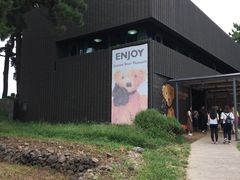 -济州岛泰迪熊博物馆