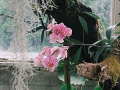 -昆明植物园