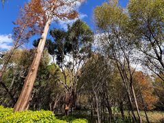 -洱海月湿地公园