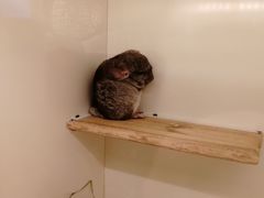 -龙猫仔乐园(惠福东路店)