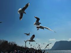 -海埂大坝