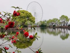 -无锡蠡湖国家湿地公园-蠡园