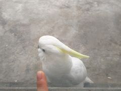 -成都动物园