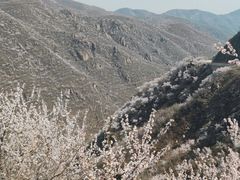 -妙峰山风景名胜区