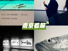 -江苏省美术馆(长江路新馆)