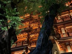 -大佛寺高级素食自助餐厅