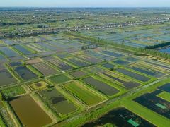 -洪湖生态旅游区