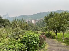 -张坝桂圆林公园