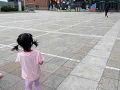 -中国宋庆龄青少年科技文化交流中心