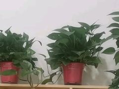 -多特儿童专注力·感统训练·学习力训练(曲江校区)