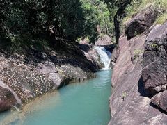 -广州白江湖森林公园