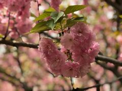 -苏州河梦清园环保主题公园