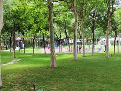 -九十九顶毡房(阜石路店)