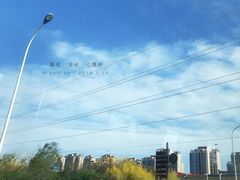 -金冠烤香鸡