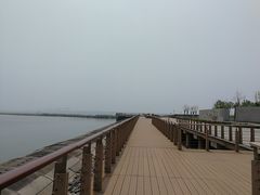 -东疆建设开发纪念公园