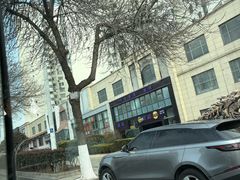 -前海沿·海鲜水饺青岛菜(乐客城店)