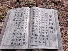 -茅兰沟国家森林公园