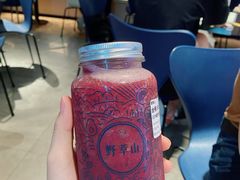 -野萃山·潮汕厚果汁(十亩地店)