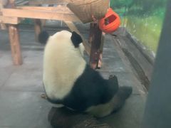 -无锡动物园·太湖欢乐园