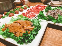 -掂档潮汕牛肉火锅(沈阳万象城店)