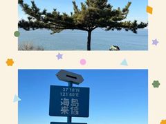 -养马岛旅游度假区