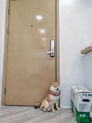 -HEYAN荷妍专业脱毛连锁机构