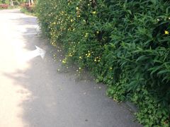-梁鸿国家湿地公园