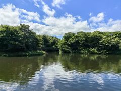 -济州森林小火车生态公园