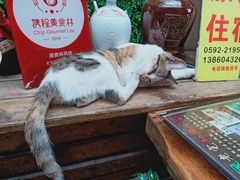 -老宅原住民沙茶面精品小吃(龙头路店)