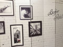 -泰康拜博口腔(世博园乐尔店)