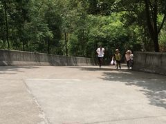 -中山市树木园