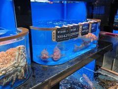 -欧记·龙城港(欣都店)