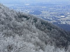 -紫金山山顶公园