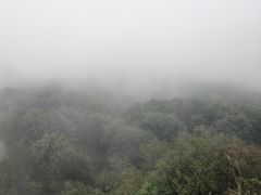 -鹿亭中村
