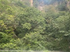 -北京上方山国家森林公园