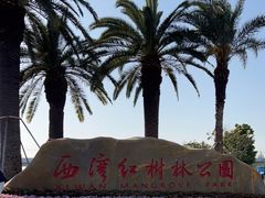 -宝安西湾红树林湿地公园