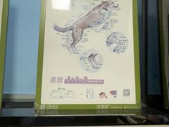 -半岛宠物医院24小时(白果林店)
