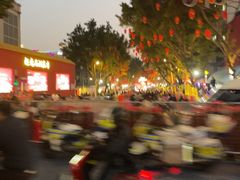 -越秀西湖花市(广州城市广场花卉店)