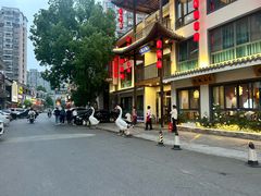 -巢湖名吃·东关老鹅汤(江南风情街店)