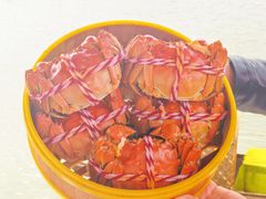 -七的湖·江南蟹舫·阳澄湖农家菜(蟹舫苑店)