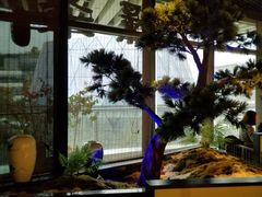 -绿茶餐厅(成都大悦城店)