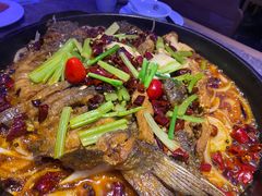 -老板恋上鱼(恒隆广场店)