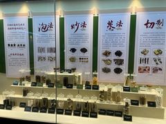 -广东中医药博物馆